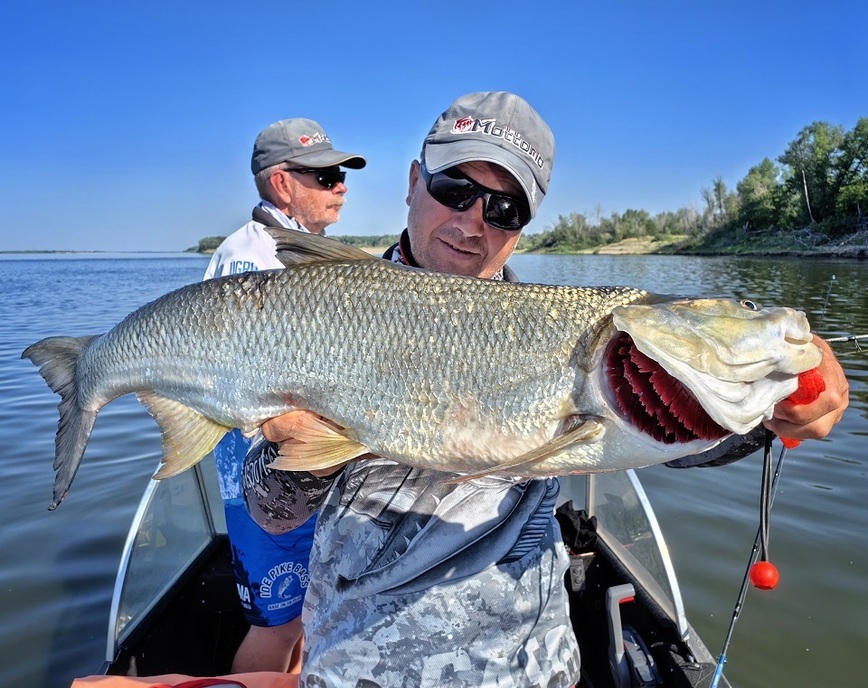Изображение Тот самый, на пять килограммов. Фото: Коломийца Алексея.