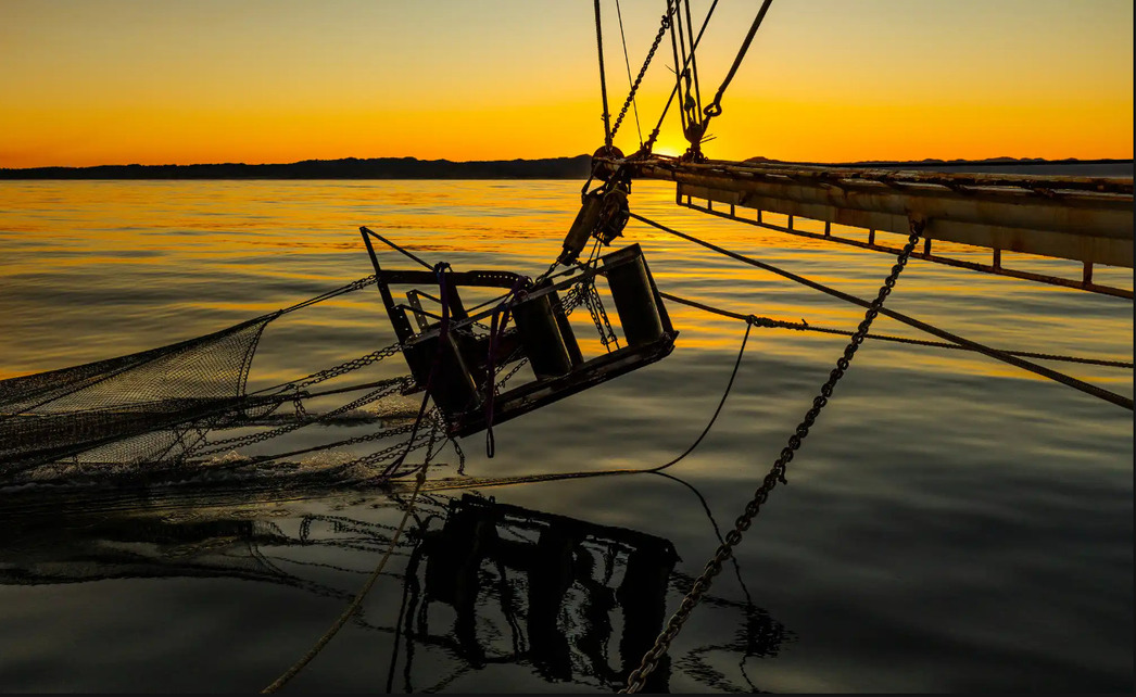Изображение Фото: Theguardian.com/australia-news
