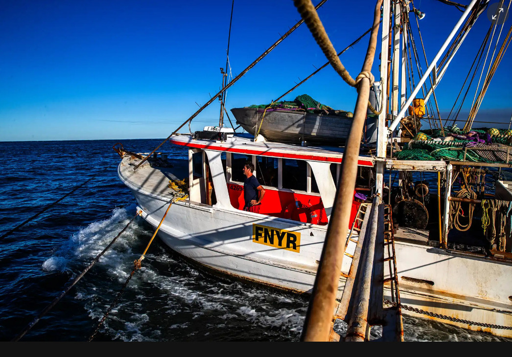 Изображение Фото: Theguardian.com/australia-news