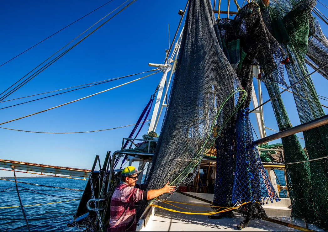 Изображение Фото: Theguardian.com/australia-news