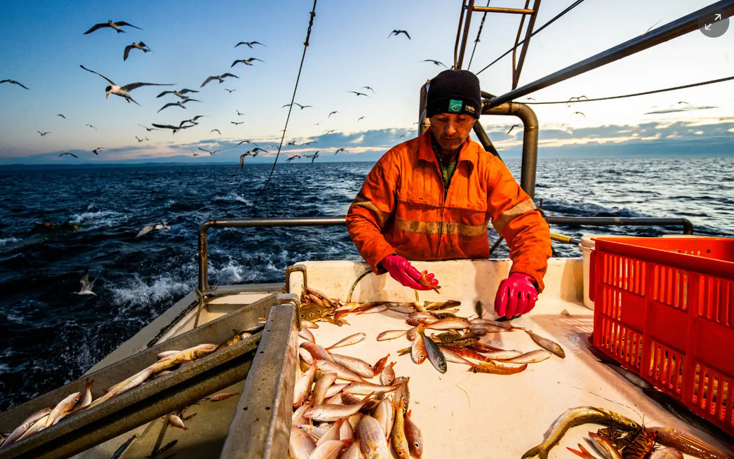 Изображение Фото: Theguardian.com/australia-news
