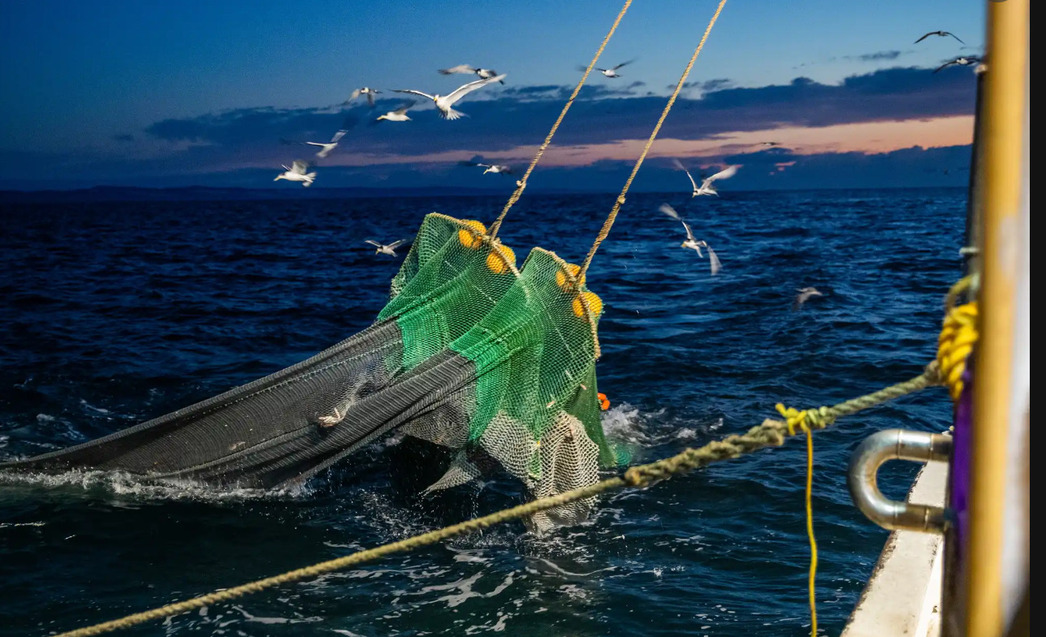 Изображение Фото: Theguardian.com/australia-news