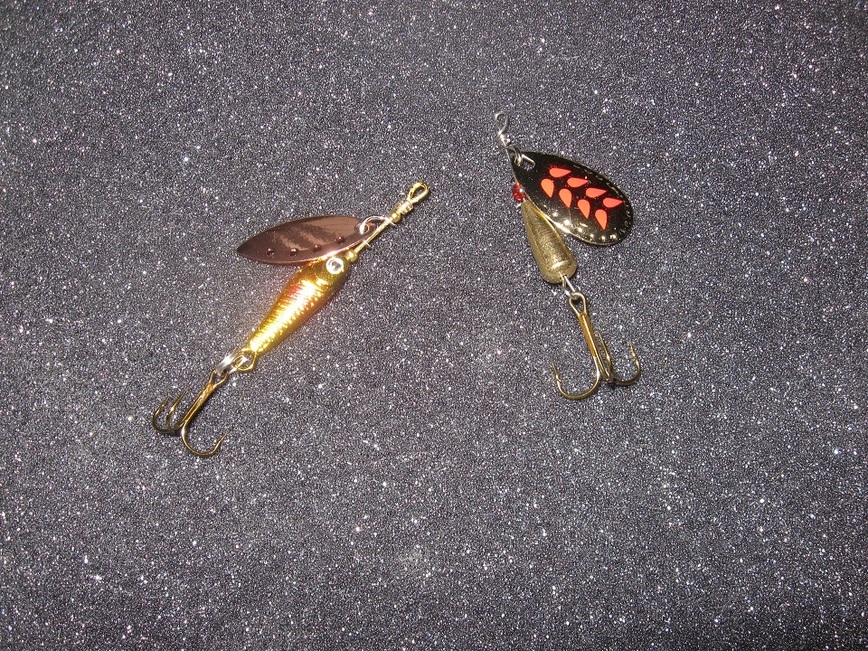 Изображение Фото: Токарева Александра.