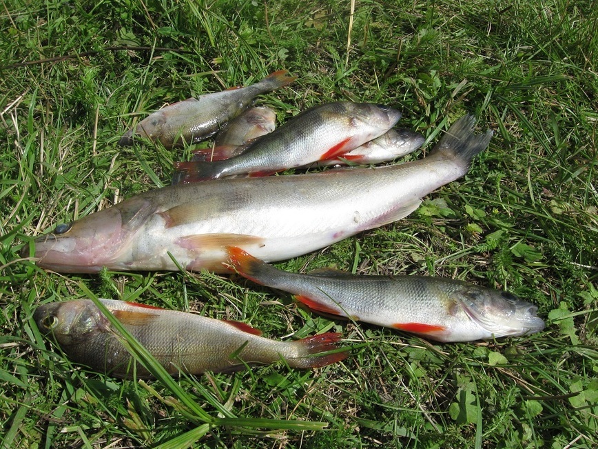 Изображение Фото: Токарева Александра.