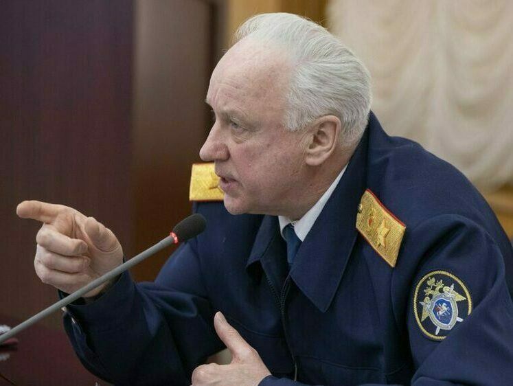 Изображение Глава СКР поручил возбудить дело после нападения бультерьера 