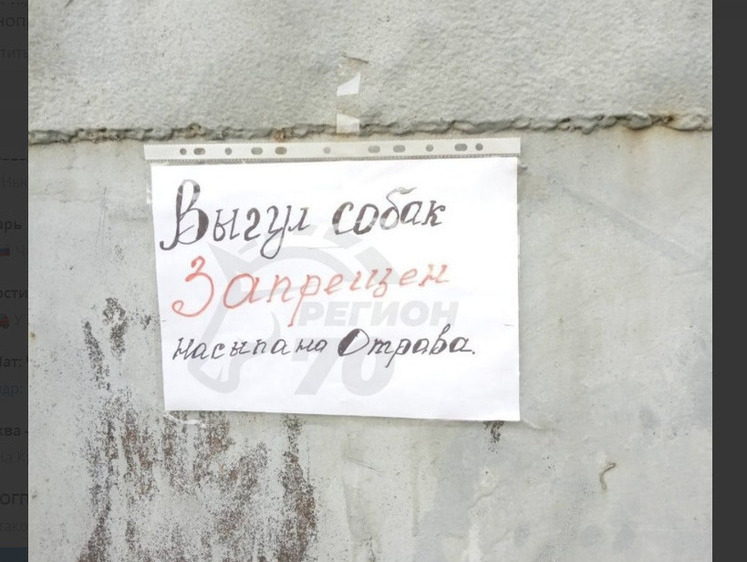 Изображение В Томске собачникам народные мстители выдали последнее предупреждение