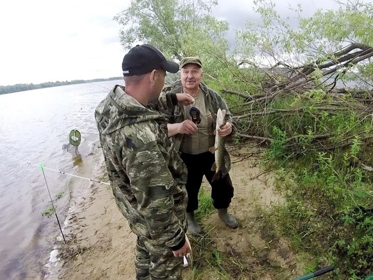 Изображение Щука на сало