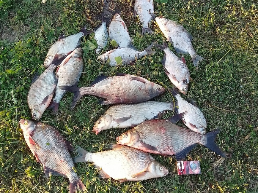 Изображение Фото: Токарева Александра.