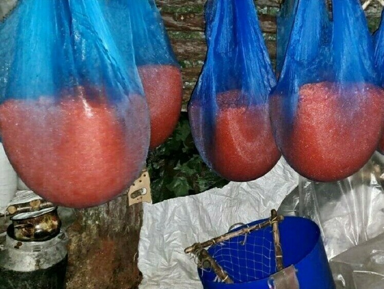 Изображение В Хабаровском крае обнаружили браконьерскую заготовку икры