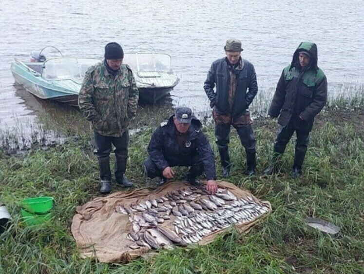 Изображение Полиция и рыбоохрана поймали двух местных браконьеров-уголовников