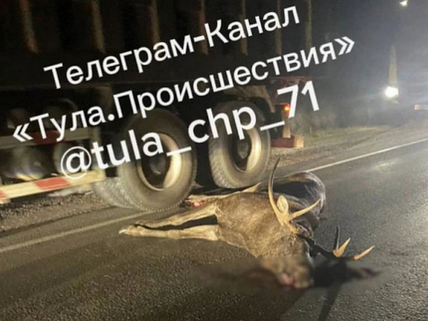Изображение ФОТО: TELEGRAM-КАНАЛ «ТУЛА. ПРОИСШЕСТВИЯ»