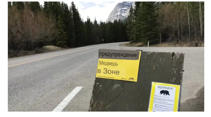 Изображение Предупреждающий о медведях знак в провинции Альберта, Канада, https://www.cbc.ca/news/canada/calgary