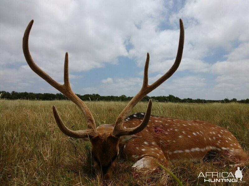 Изображение Фото: africahunting.com