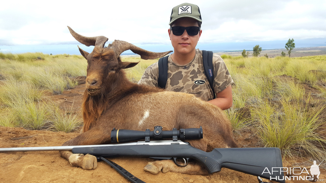 Изображение Фото: africahunting.com