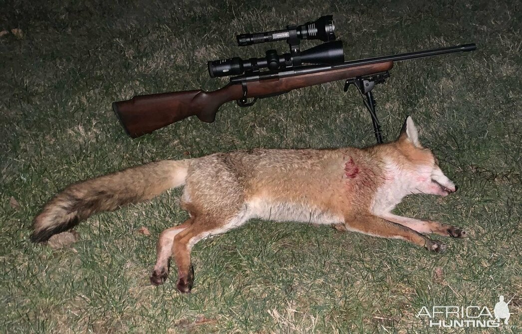 Изображение Фото: africahunting.com