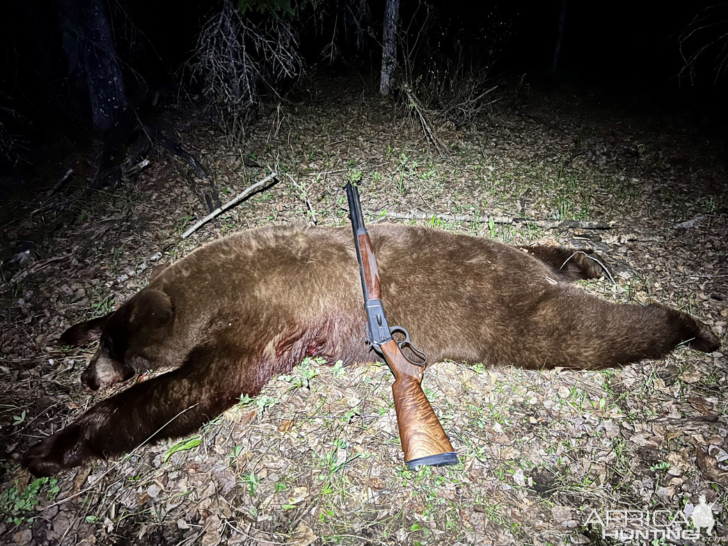 Изображение Фото: africahunting.com