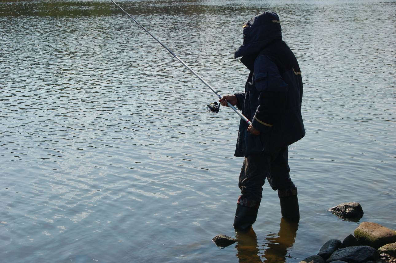 Изображение Фото: Яншевского Андрея.