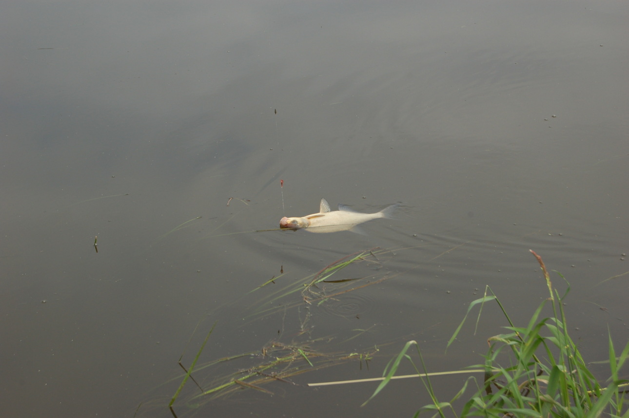 Изображение Фото: Яншевского Андрея.