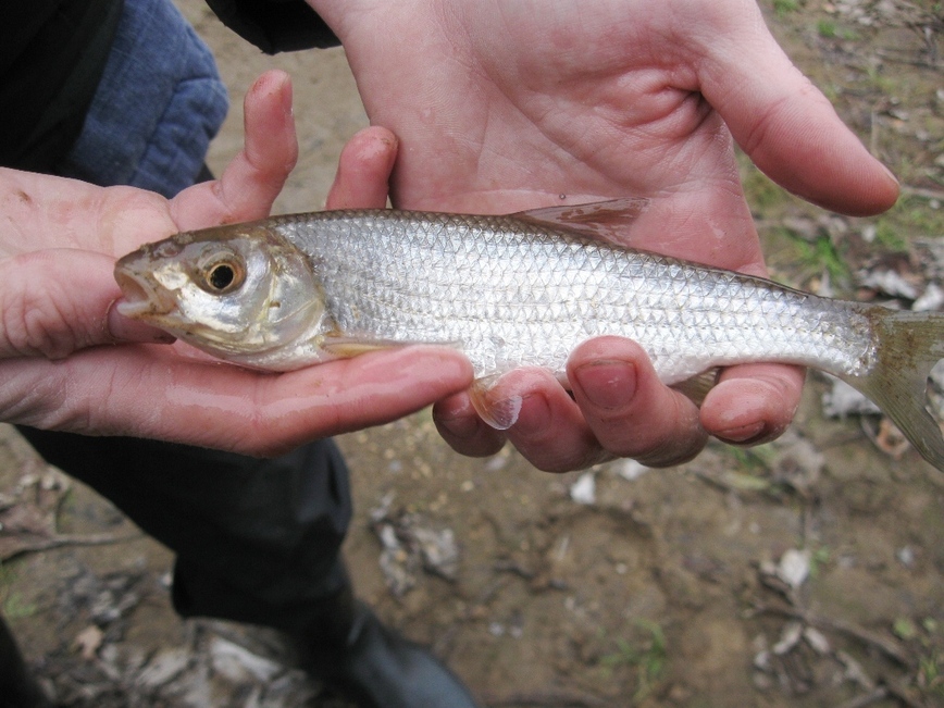 Изображение Фото: Токарева Александра.