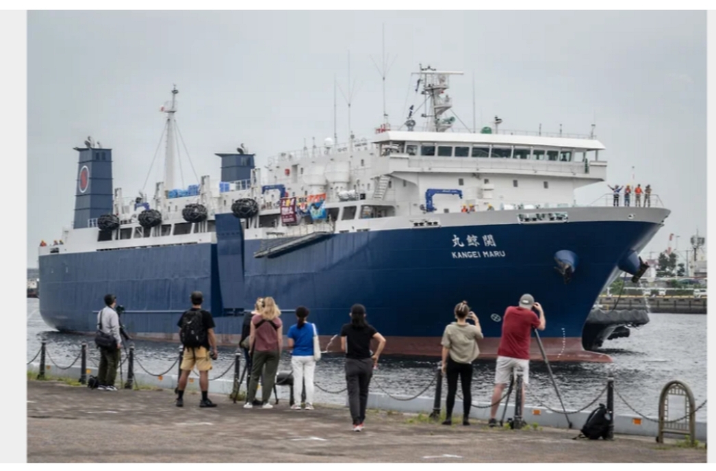 Изображение Суперсовременная японская китобойная база Kangei Maru, корабль спущен на воду в 2024 г