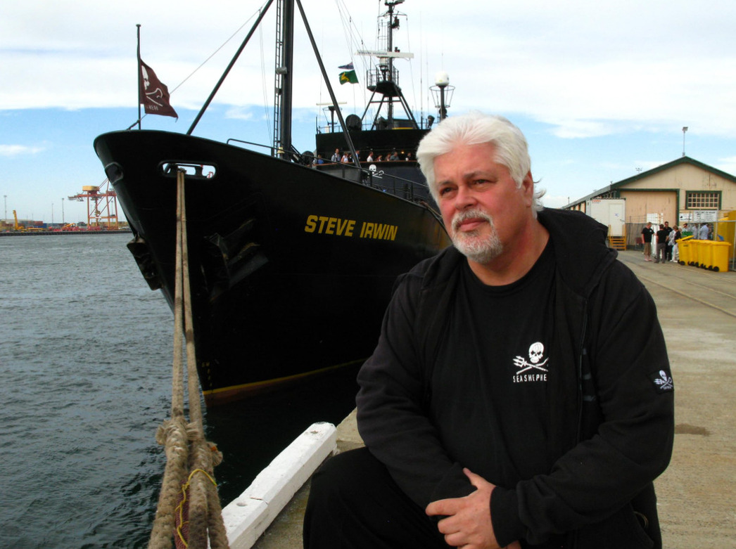 Изображение 73-летний канадский активист-эколог Пол Уотсон находится в тюрьме в столице Гренландии Нуук с 21 июля 2024 года. Радикальному борцу с китобоями грозит пожизненное заключение.