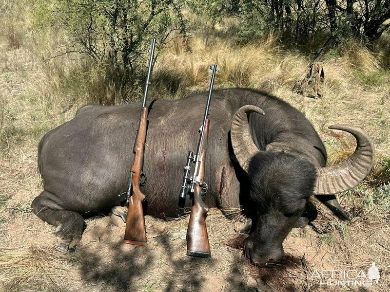 Изображение Фото: africahunting.com