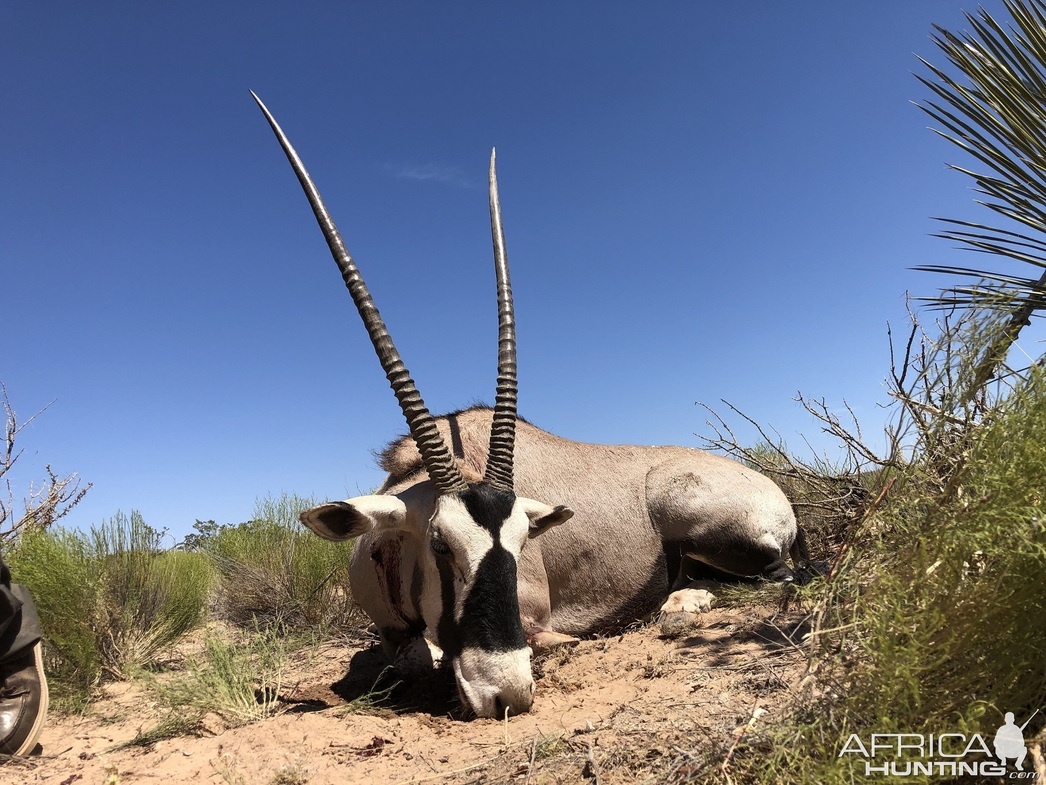 Изображение Фото: africahunting.com