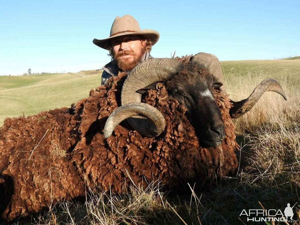 Изображение Фото: africahunting.com