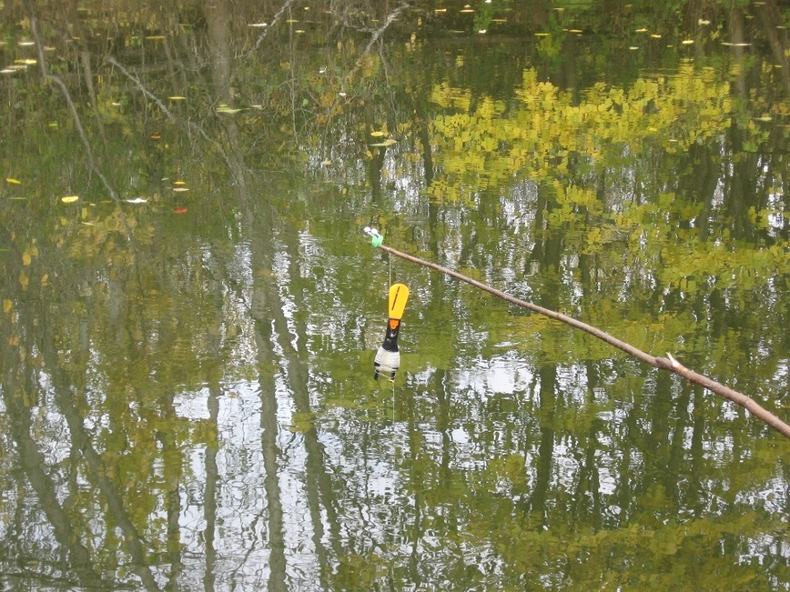 Изображение Фото: Токарева Александра.