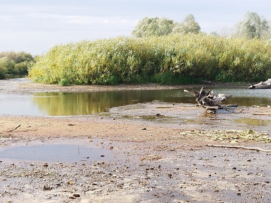 Изображение Фото: Линника Николая.