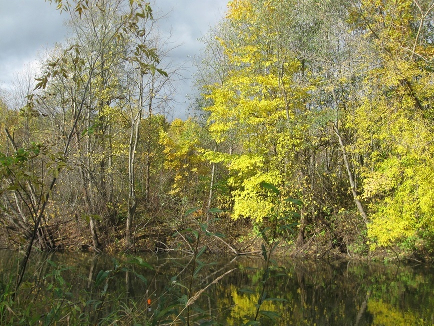 Изображение Фото: Токарева Александра.