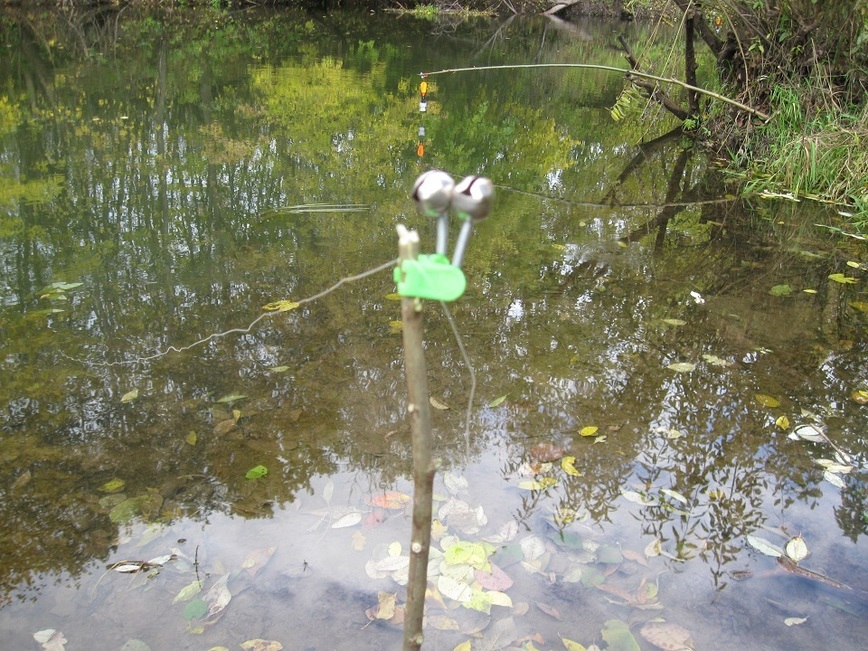 Изображение Фото: Токарева Александра.