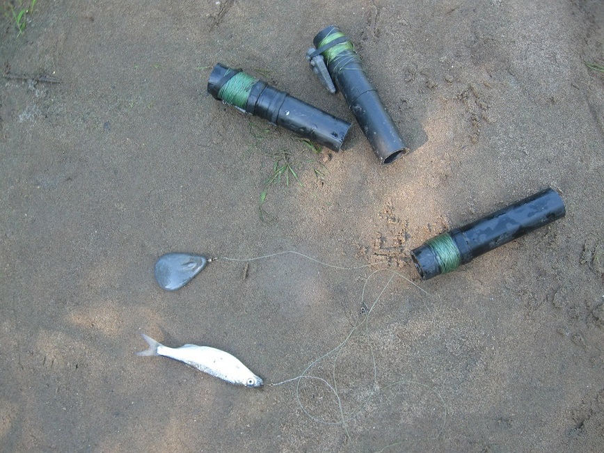 Изображение Фото: Токарева Александра.