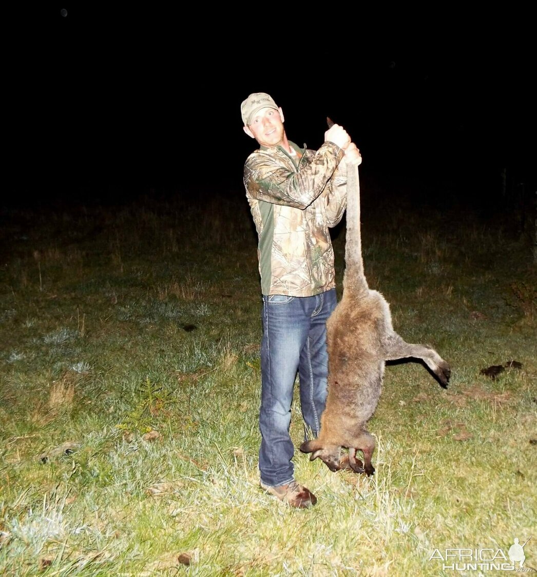 Изображение Фото: africahunting.com