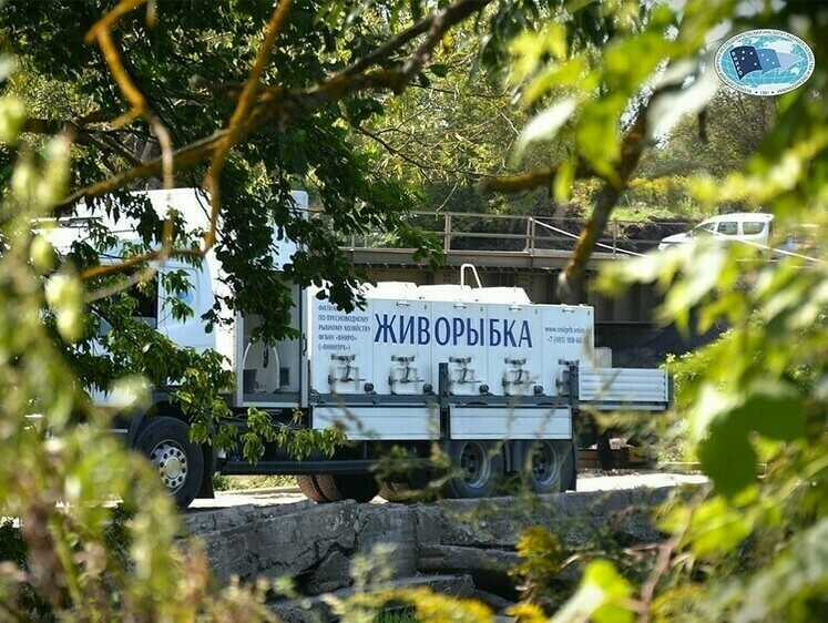 Изображение ВНИИПРХ выпустил в рыбохозяйственные водоемы более 2 млн мальков