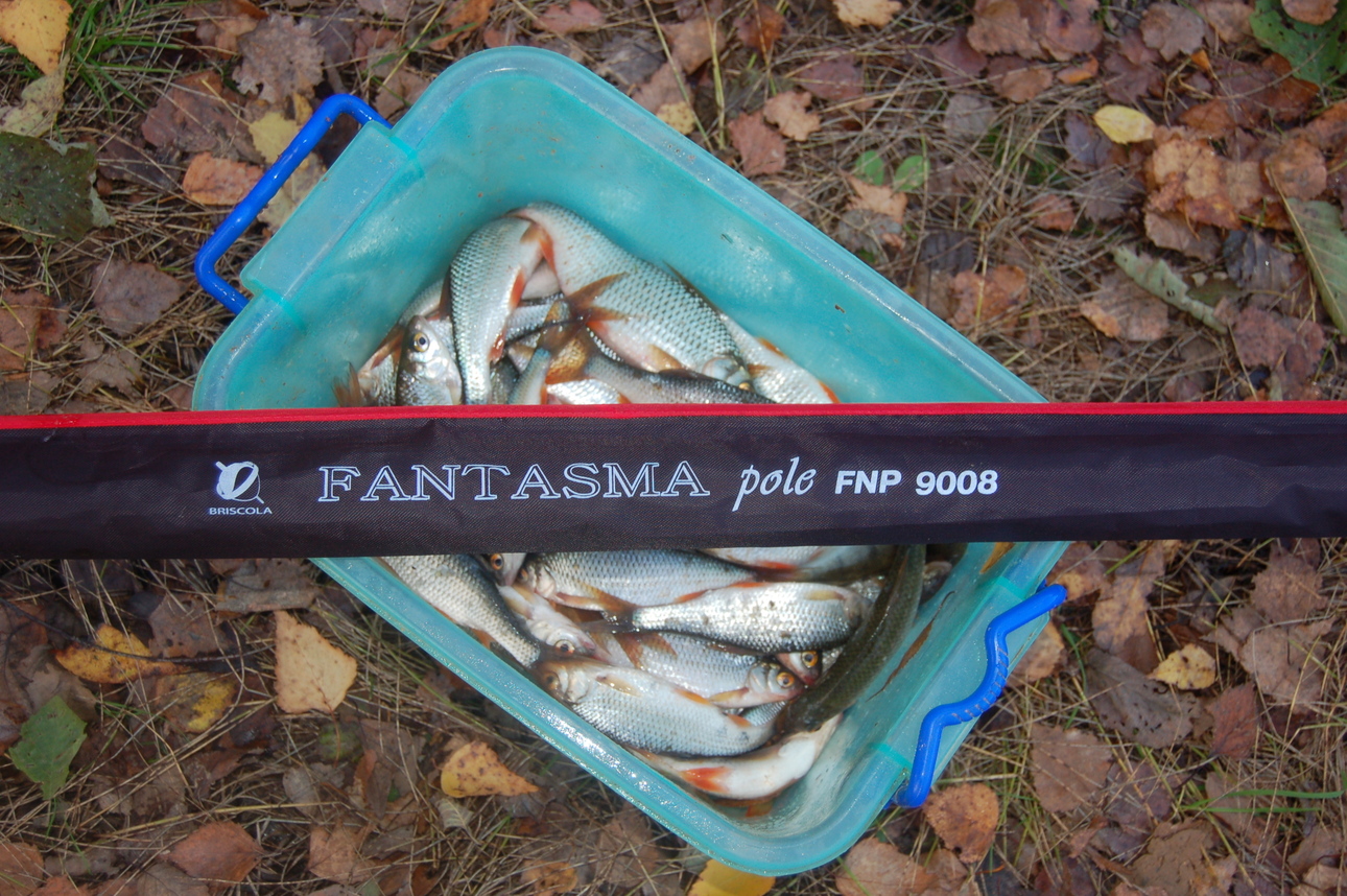 Изображение Фото: Яншевского Андрея.