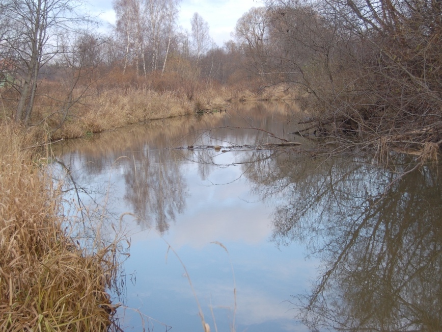 Изображение Фото: Яншевского Андрея.