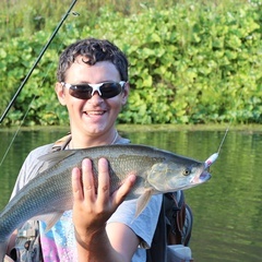 аватар пользователя