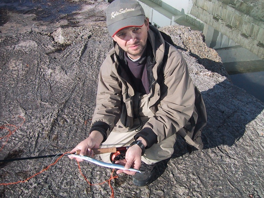 Изображение Саргана, кроме всего прочего, можно ловить и на искусственную мушку. Фото: Шеляга Геннадия.