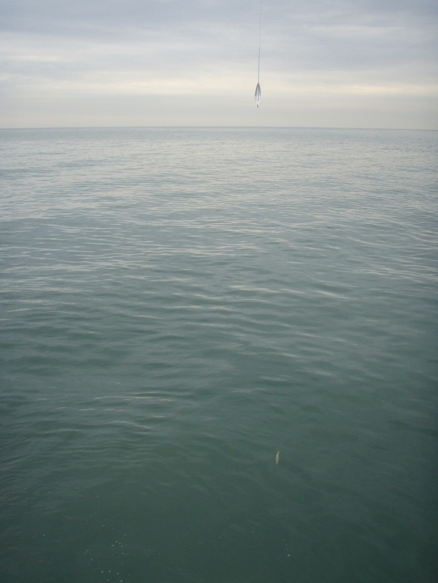 Изображение Так выглядит оснастка с бомбардой. Фото: Шеляга Геннадия.