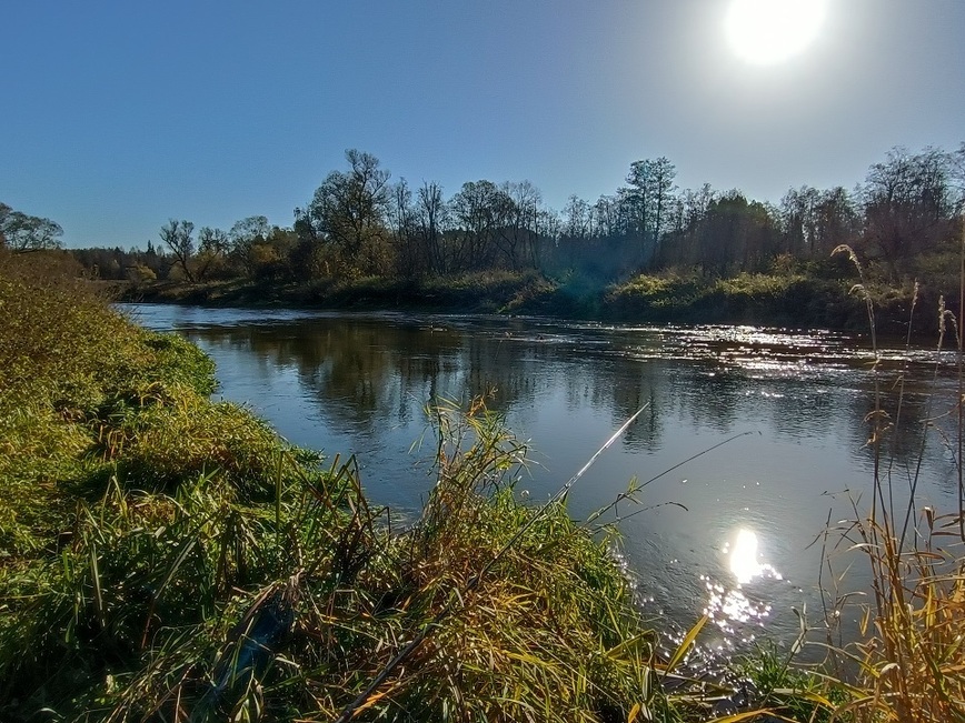 Изображение Удочка ловит  на стук. Фото: Трембицкого Алексея. 