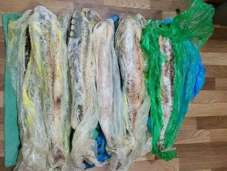 Изображение Торговка краснокнижной рыбой лишилась запасов товара
