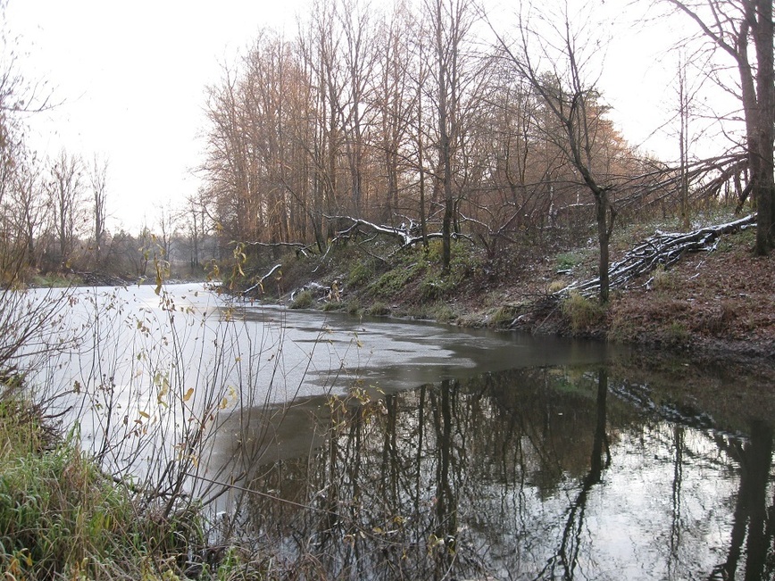 Изображение Фото автора. 