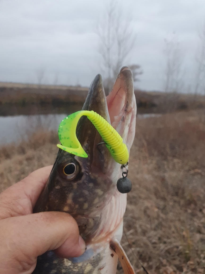 Изображение Фото: Коломийца Алексея. 