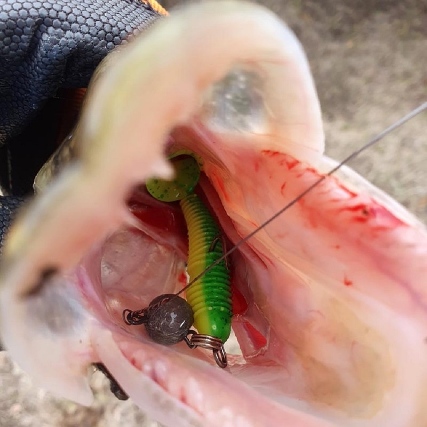 Изображение Фото: Коломийца Алексея. 