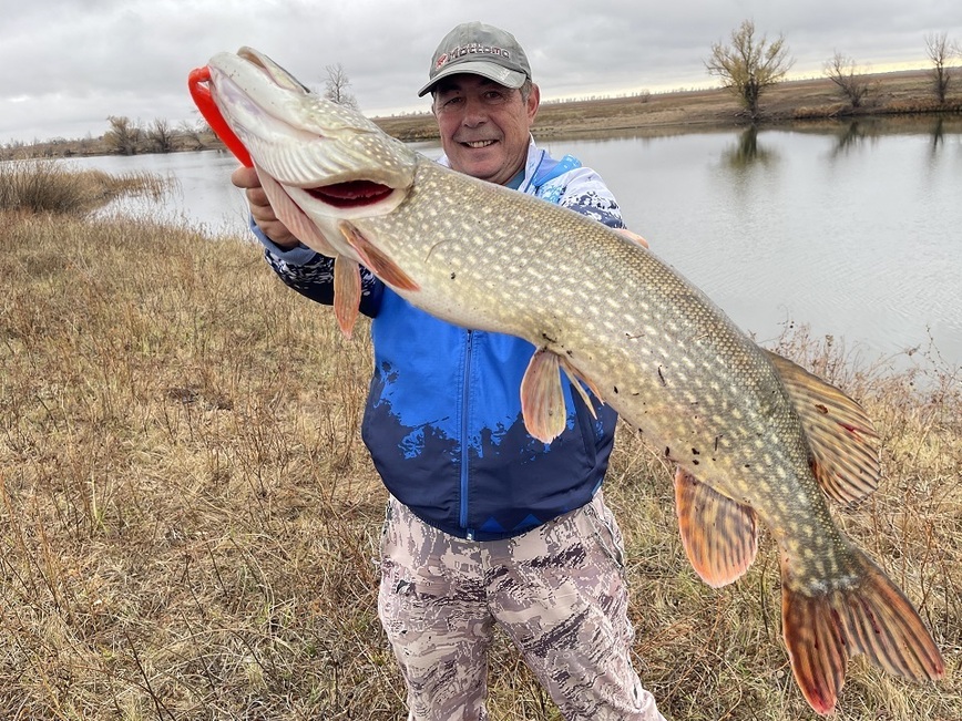 Изображение А ведь крупная щука плавает где-то рядом! Фото: Коломийца Алексея. 