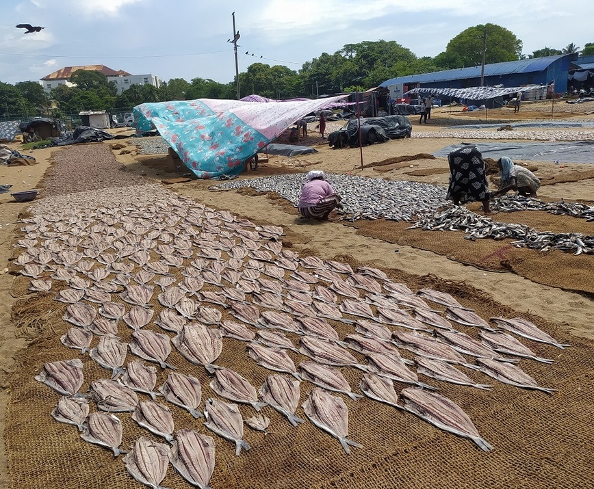 Изображение Фото: Супруненко Владимира. 