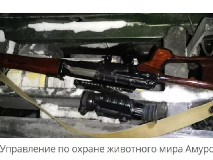Изображение В Приамурье охотники прихватили  двух косуль вместо одной плюс лося 