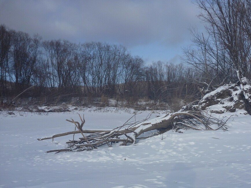 Изображение Фото: Смирнова Александра.