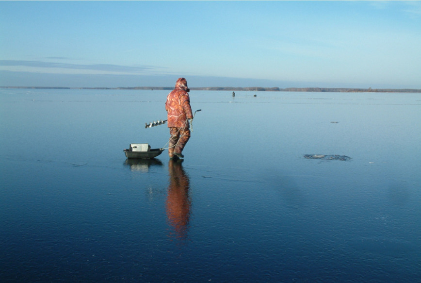 Изображение Фото автора.